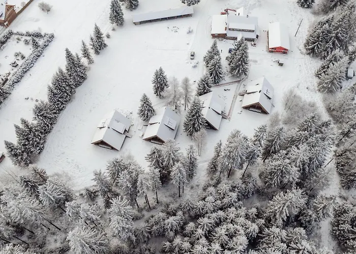 Drevia ايستينبا